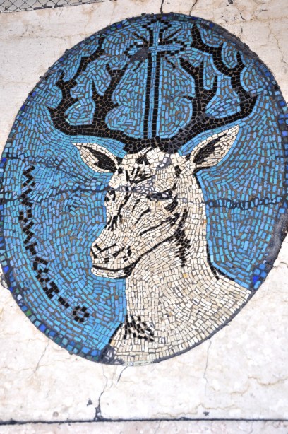 Hertenkop op de drempel van Bar S. Eustachio