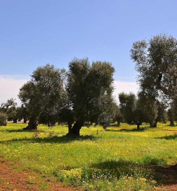 Foto © Willemijn van Dijk