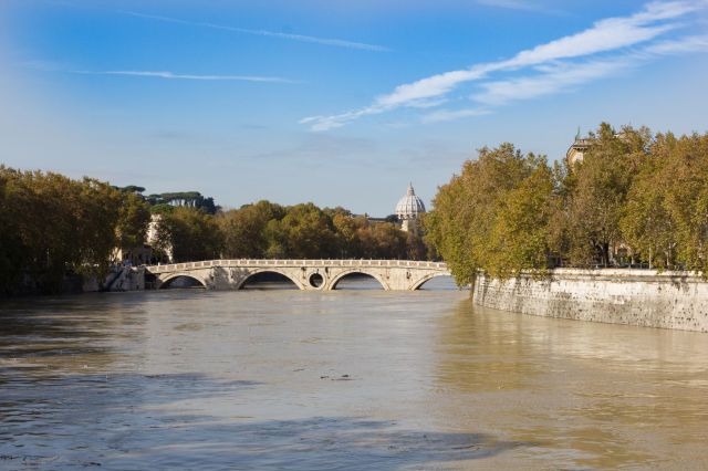 Copyright-Orpheuskijktom