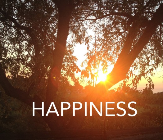 IMG_1894kopie - versie 2