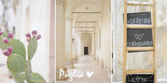 971843_10151551457119843_873994321_n