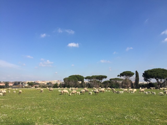 Via-Appia-Park
